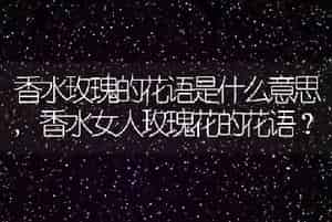 香水玫瑰的花语是什么意思