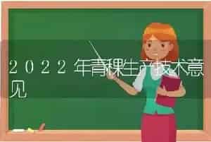 2022年青稞生产技术意见