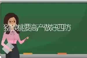 猕猴桃要高产做好四防