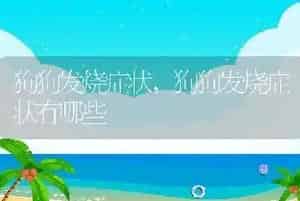 狗狗发烧症状