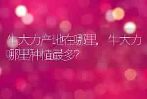 牛大力产地在哪里