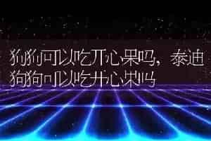 狗狗可以吃开心果吗