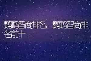 鹦鹉智商排名