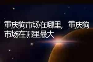重庆狗市场在哪里