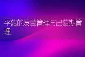 鹌鹑快速育肥法