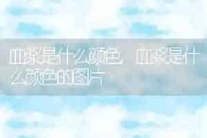 小狗名字大全