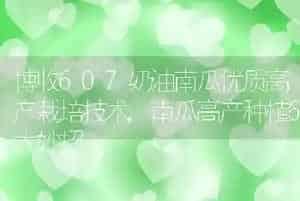 博收607奶油南瓜优质高产栽培技术