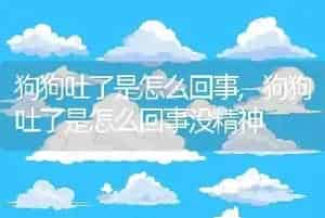 狗狗吐了是怎么回事