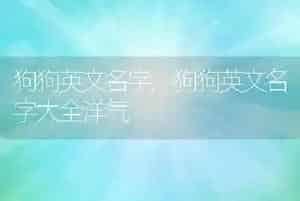 狗狗英文名字