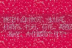 桃花什么时候开