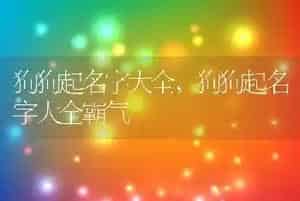 狗狗起名字大全