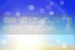 狗狗一直吐怎么办