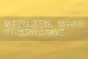 蜗牛的生活习性