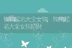 狗狗起名大全女狗