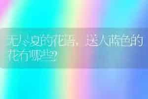 跑的最快的狗
