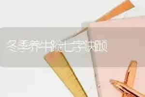 冬季养牛蹝七字诀蹞
