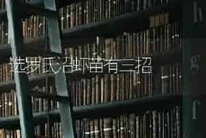 选罗氏沼虾苗有三招