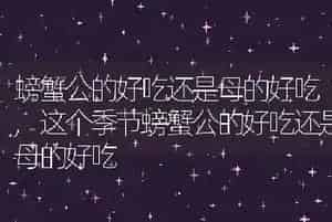 螃蟹公的好吃还是母的好吃,这个季节螃蟹公的好吃还是母的好吃