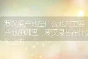 罗汉果产地在什么地方主要产地在哪里