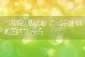 青蓝金刚鹦鹉
