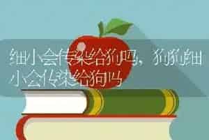 细小会传染给狗吗