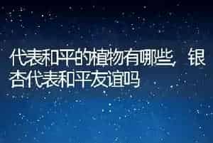 代表和平的植物有哪些