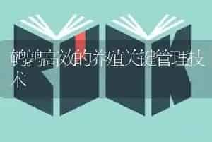鹌鹑高效的养殖关键管理技术