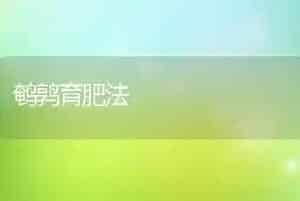 鹌鹑育肥法