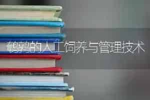 鹌鹑的人工饲养与管理技术
