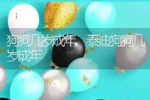 狗狗几岁成年