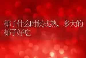 椰子什么时候成熟