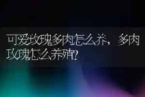 狗吃什么会死