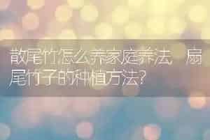 狗能吃巴旦木吗