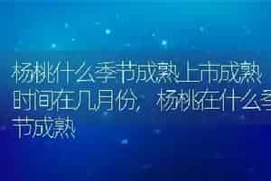 杨桃什么季节成熟上市成熟时间在几月份
