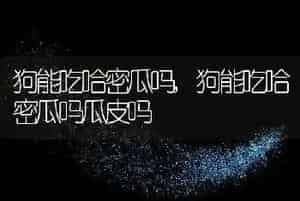 狗能吃哈密瓜吗