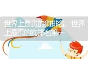 世界上最贵的狗排名