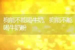 狗能不能喝牛奶
