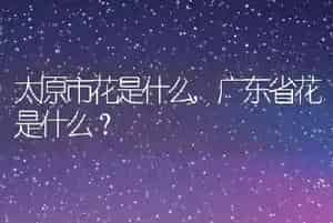 太原市花是什么
