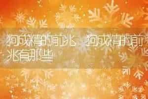 狗成精的前兆