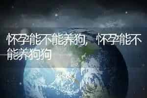 怀孕能不能养狗