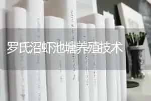 罗氏沼虾池塘养殖技术