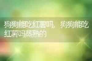 狗狗能吃红薯吗