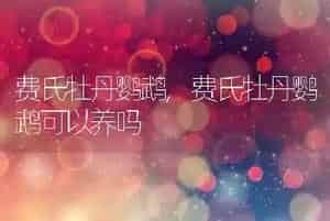费氏牡丹鹦鹉