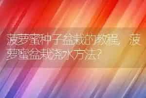 菠萝蜜种子盆栽的教程