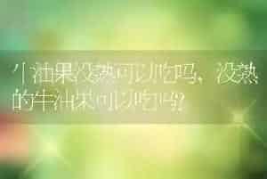 牛油果没熟可以吃吗