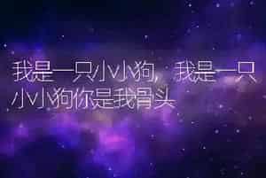 我是一只小小狗