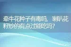 牵牛花种子有毒吗