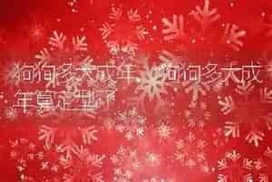 狗狗多大成年