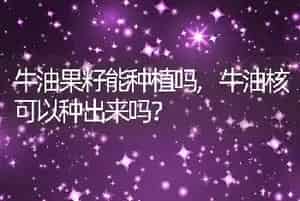 牛油果籽能种植吗