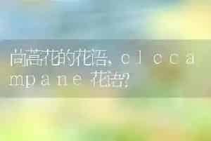 茼蒿花的花语